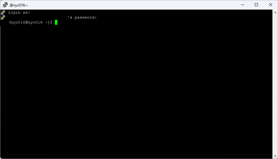 Successful SSH login